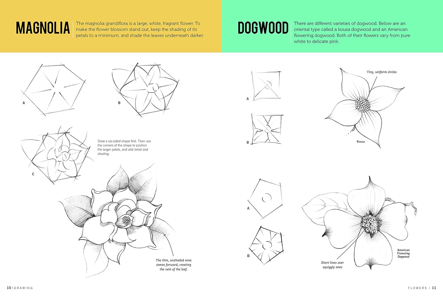 Drawing Flowers Drawing How To Book JB-38010_3