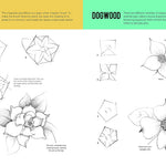 Drawing Flowers Drawing How To Book JB-38010_3