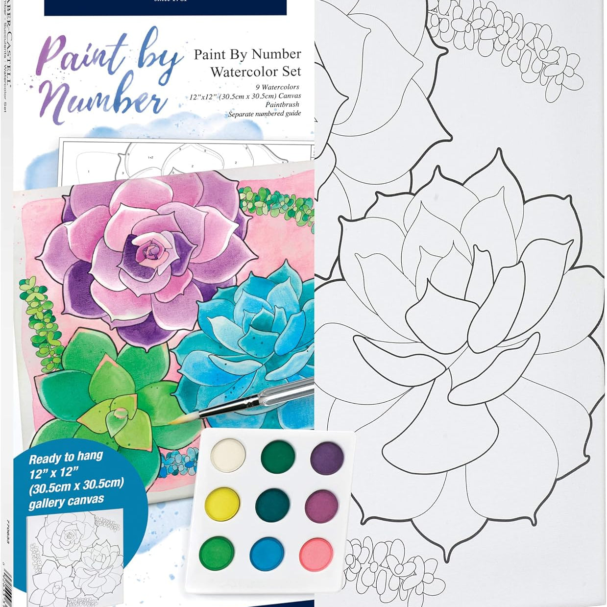 Paint By Number Watercolor Sets, Succulents JB-39814_24e0865f-b3d8-4a8c-a786-f1e4124fc21a