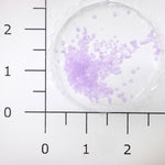 Resinate Craft Mineral Powder 5Gm Purple JB-41060_1