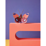 Delias Butterfly Wall Decor JB-42388