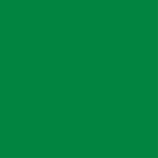 12X12 Jolly Green Cardstock Paper JB-42463