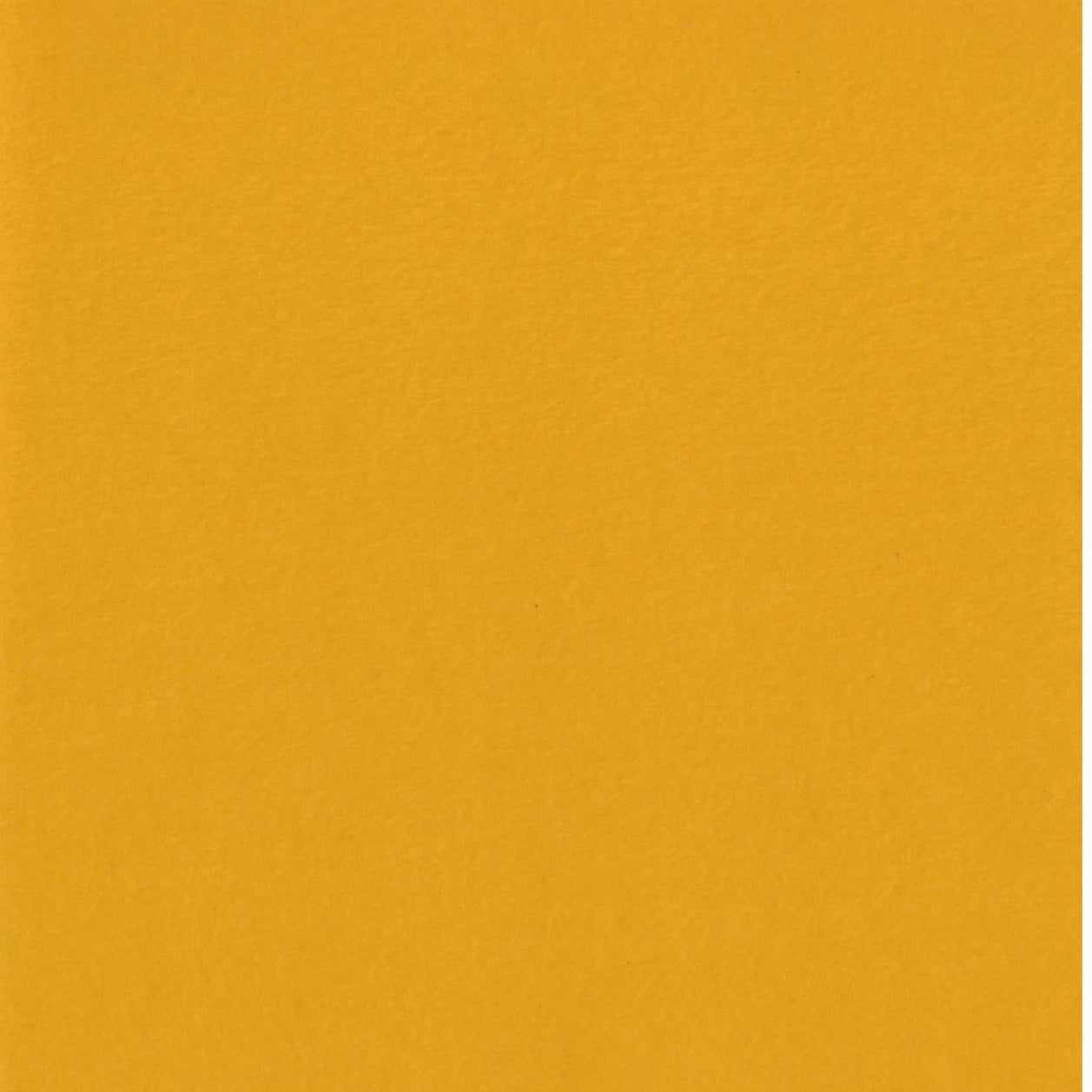 8.5X11 Gold Coins Cardstock Paper JB-42471