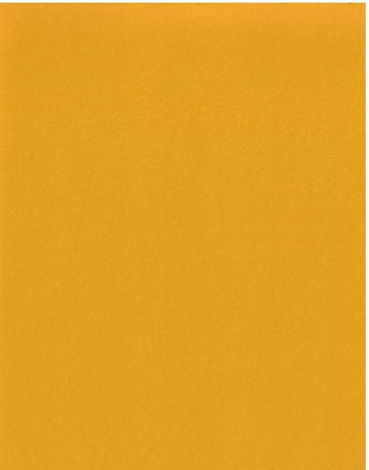 8.5X11 Gold Coins Cardstock Paper JB-42471