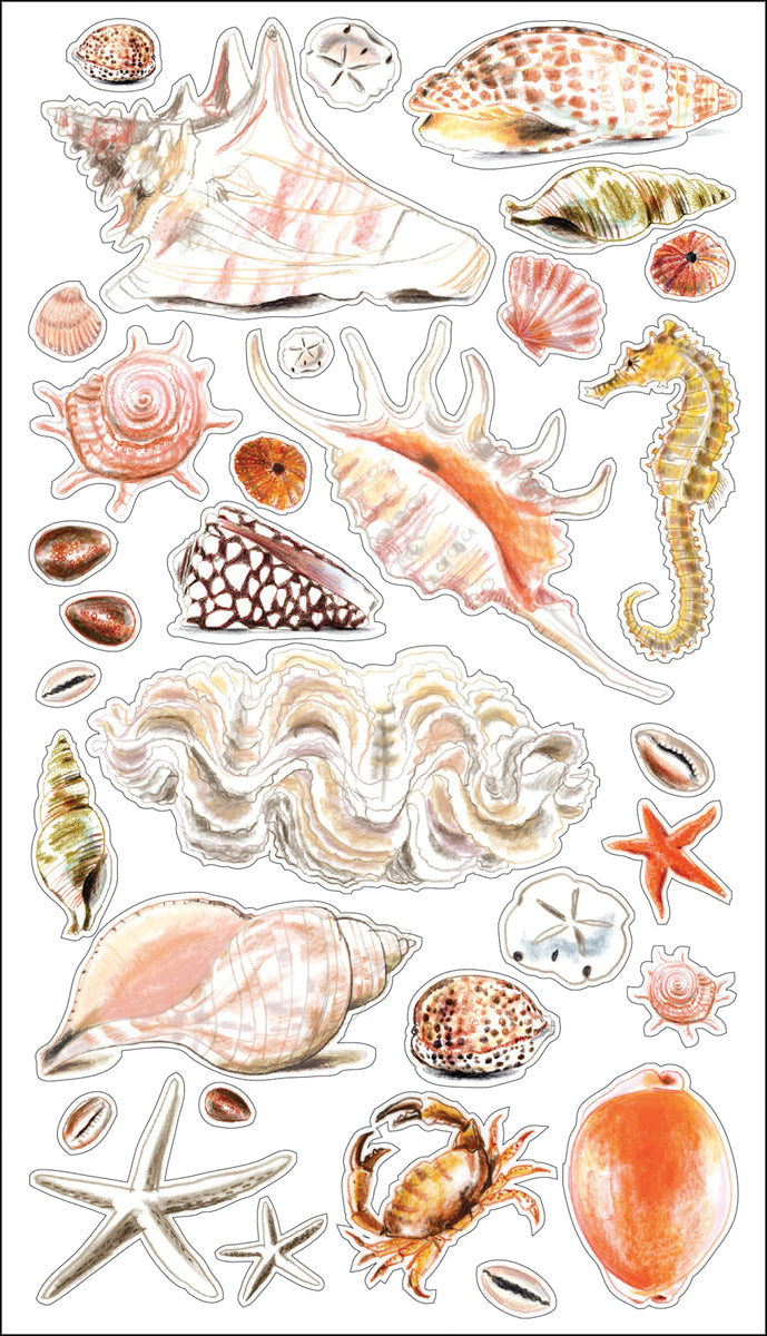 Seashells & Sand Stickers JB-42571