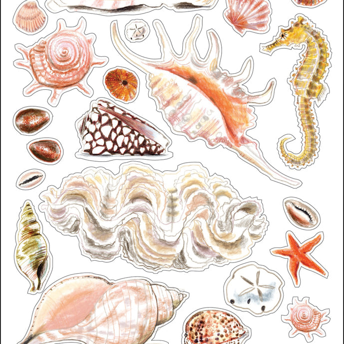 Seashells & Sand Stickers JB-42571
