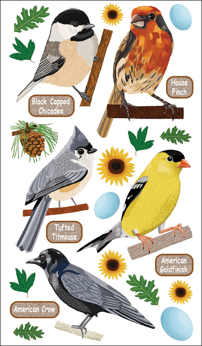 Top Us Birds JB-42590