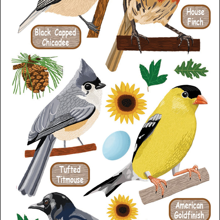 Top Us Birds JB-42590
