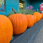 Local Pumpkin JB-42824_2