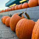 Local Pumpkin JB-42824_4