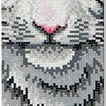 White Tiger In Autumn Diamond JB-42864