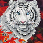 White Tiger In Autumn Diamond JB-42864_d51fcd36-0297-44f9-847e-0c1261e15846