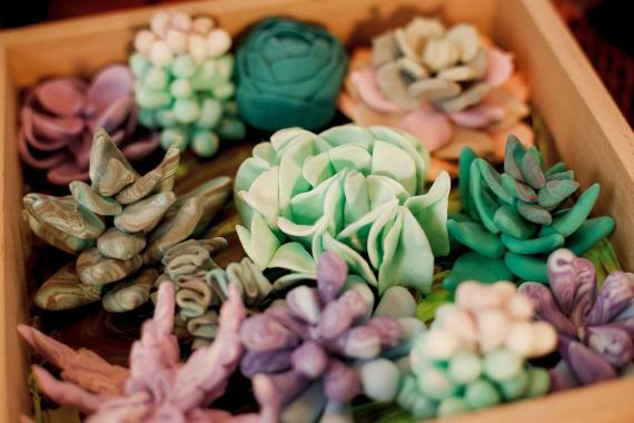 Succulent Tenderness Kit JB-42901