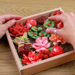 Succulent Passion Kit JB-42902_3