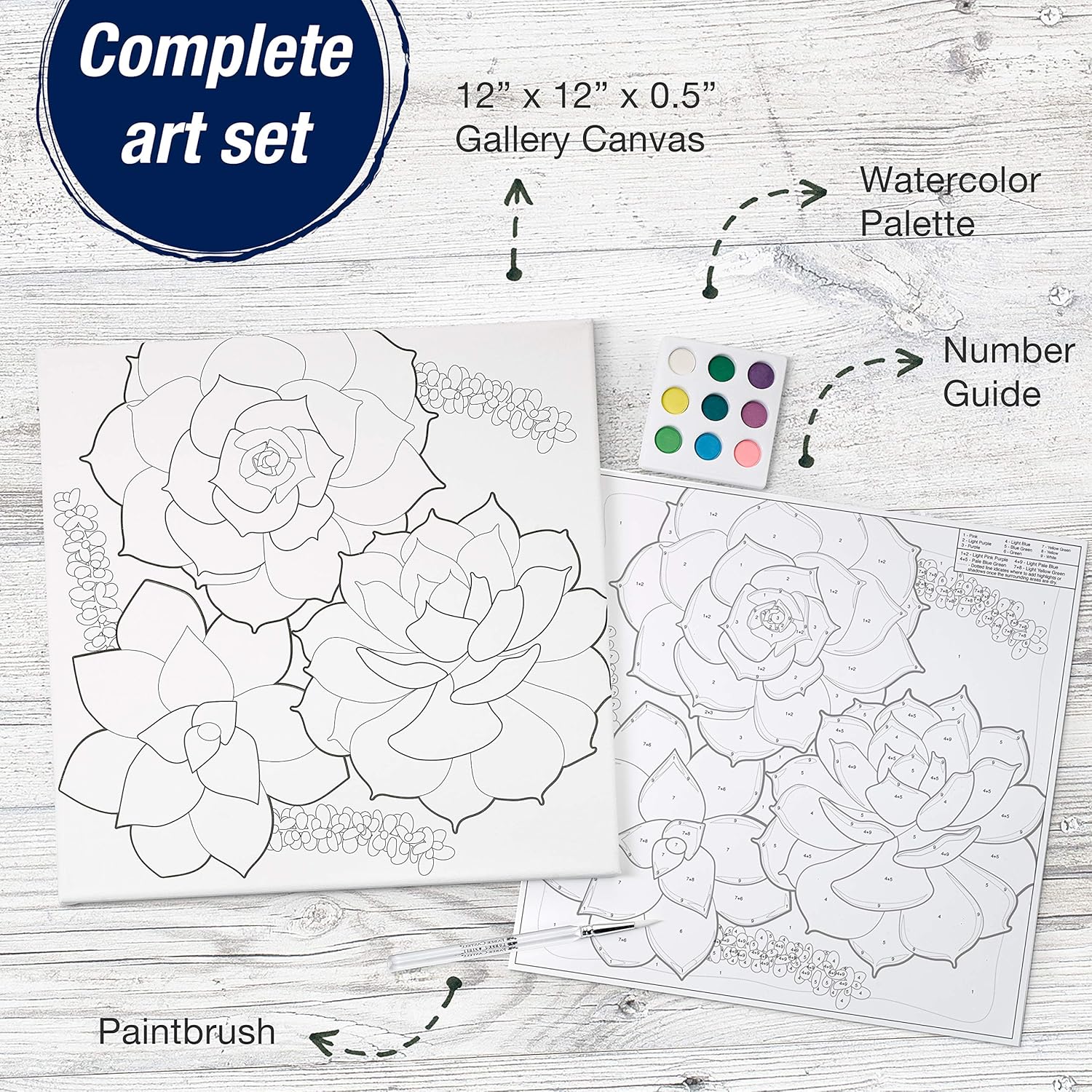 Paint By Number Watercolor Sets, Succulents JB-43111_2