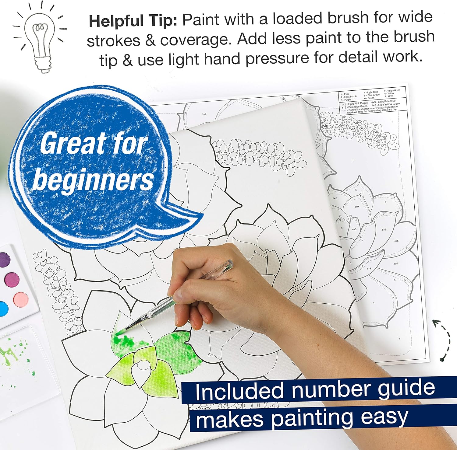 Paint By Number Watercolor Sets, Succulents JB-43111_3