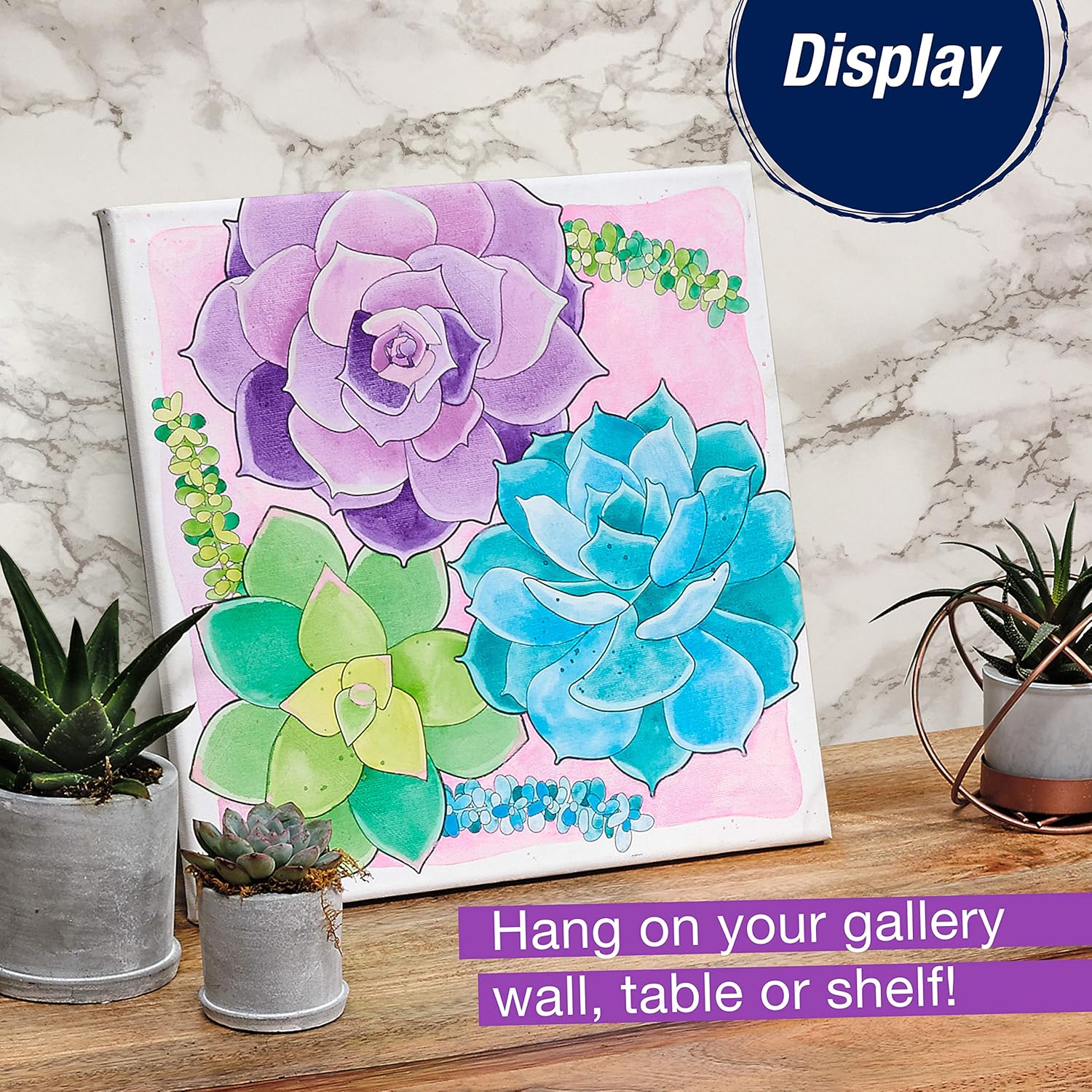 Paint By Number Watercolor Sets, Succulents JB-43111_4