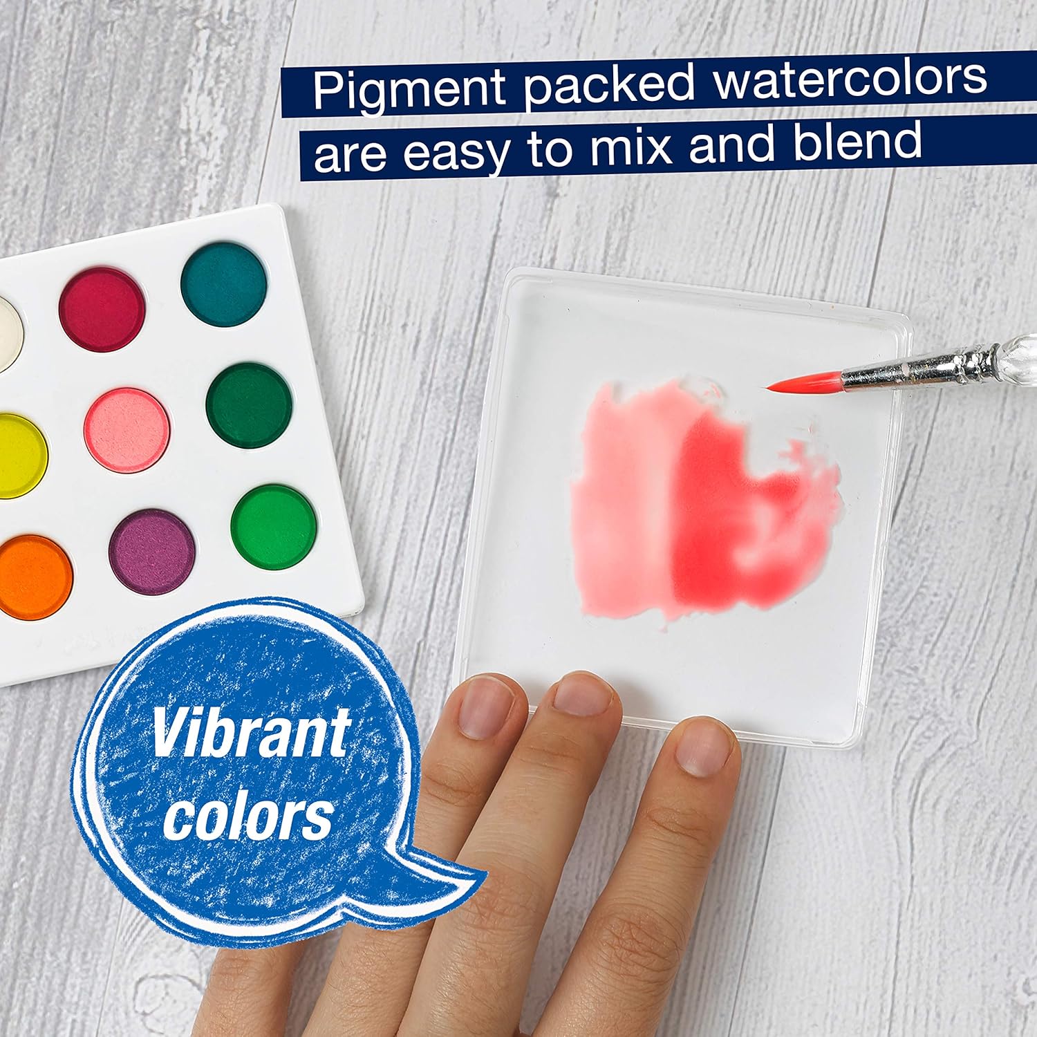 Paint By Number Watercolor Sets, Succulents JB-43111_5