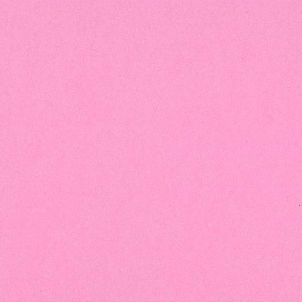 12X12 Guava Cardstock JB-43132