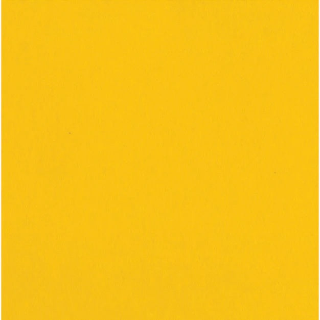 12X12 Pineapple Cardstock JB-43134