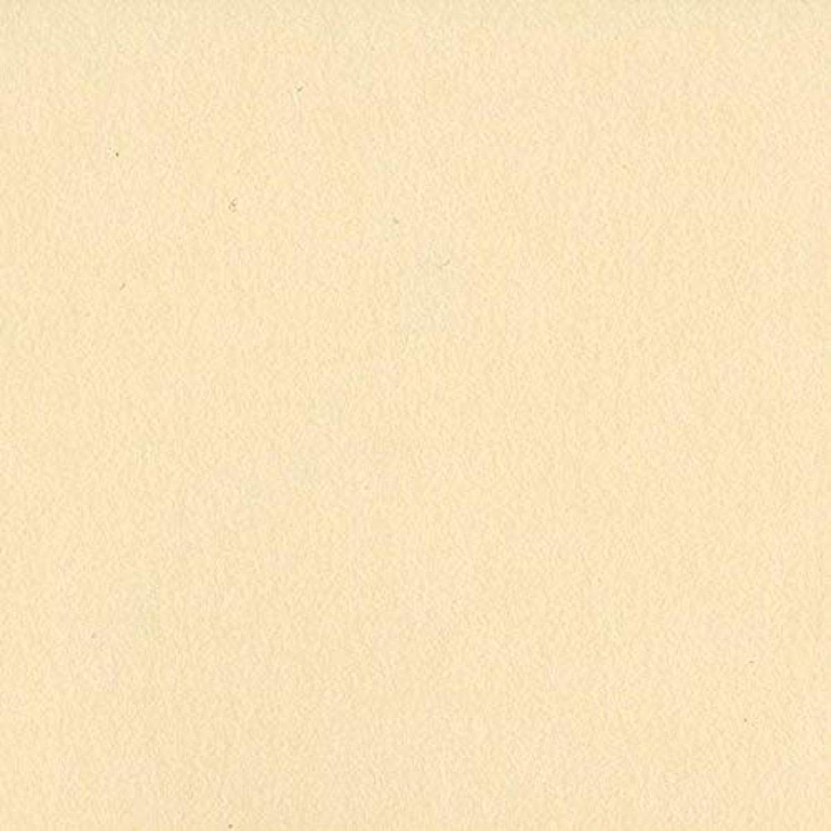 12X12 Pigment Cardstock JB-43146
