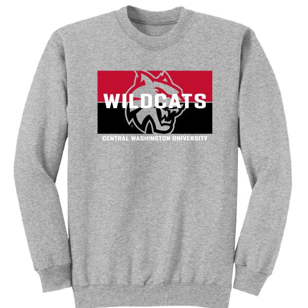 CWU Crewneck Fleece Sweatshirt 60 JB-43793_4e9e5c69-a65f-4444-849c-6976103dbdf1