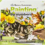 Kitten Play Paint By Number 30 JB-44013