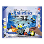 Dolphins Paint By Number 30 JB-44017