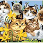 Cats Montage Paint By Number 30 JB-44019_8a9afab1-d343-4072-8ba9-14b32bdf21f0