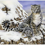 Alpine Royalty Paint By Number 30 JB-44020_2457e3bd-05d1-4eb3-914b-b01e73c50788