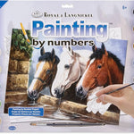 3 Of A Kind Paint By Number 30 JB-44021