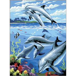 Dolphins Paint By Number 30 JB-44026
