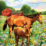 Horse Paint By Number 30 JB-44030