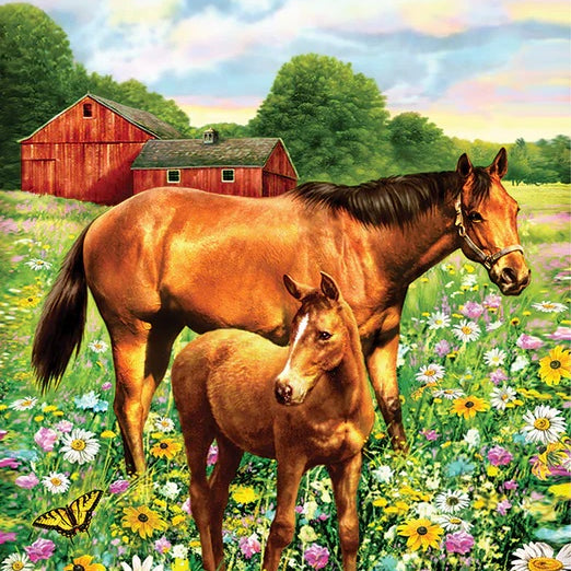 Horse Paint By Number 30 JB-44030
