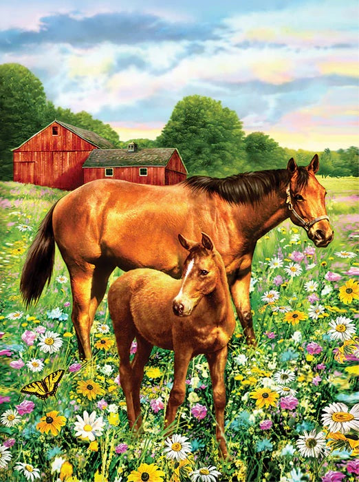 Horse Paint By Number 30 JB-44030