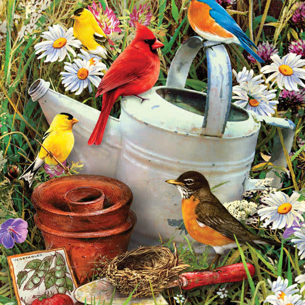 Garden Birds Paint By Number 30 JB-44031