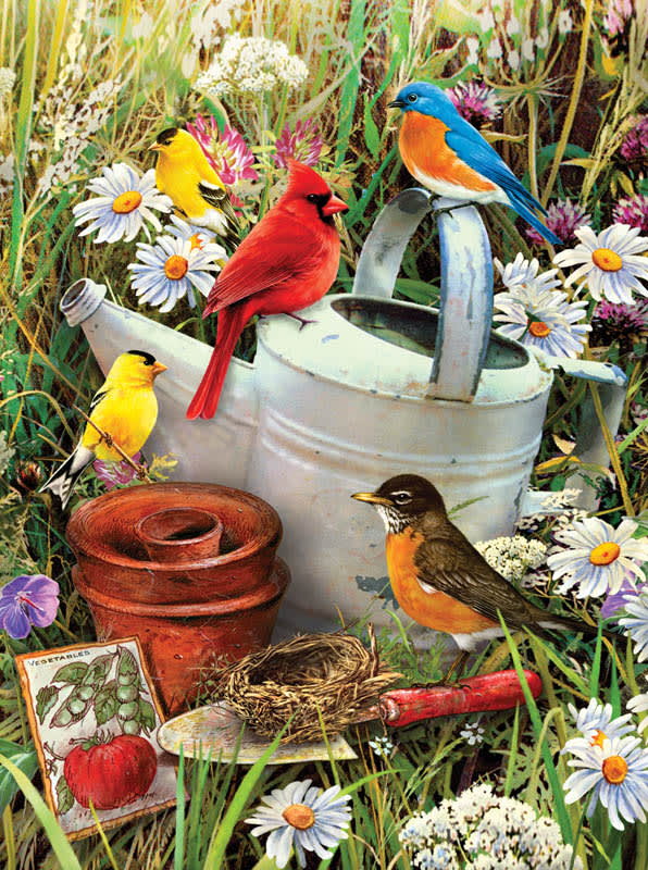Garden Birds Paint By Number 30 JB-44031