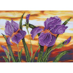 Iris Sunset Diamond Art Kit 30 JB-44059