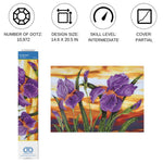 Iris Sunset Diamond Art Kit 30 JB-44059_ee3975d4-2968-4f9a-a5e6-53035f5bbcfb