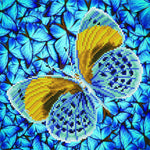 Flutter By Gold Diamond Art 30 JB-44067