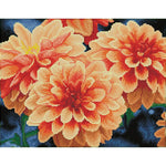 Peach Dahlias Diamond Art Kit 30 JB-44070
