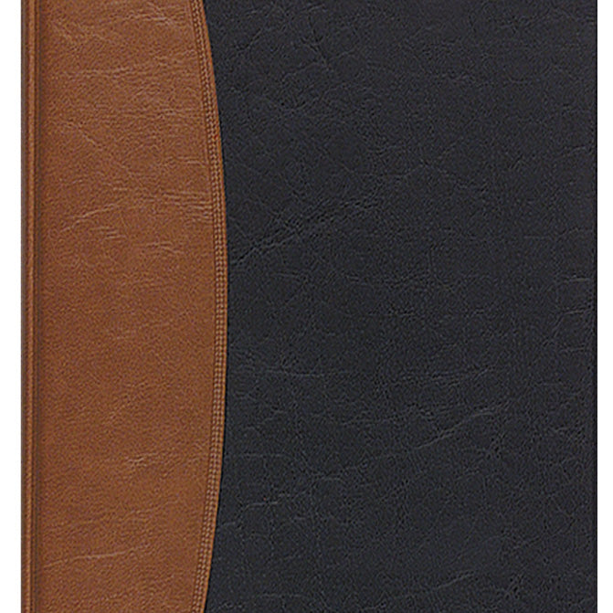Payne 2027 Weekly Carriage Planner - Assorted colors 40 JB-44365