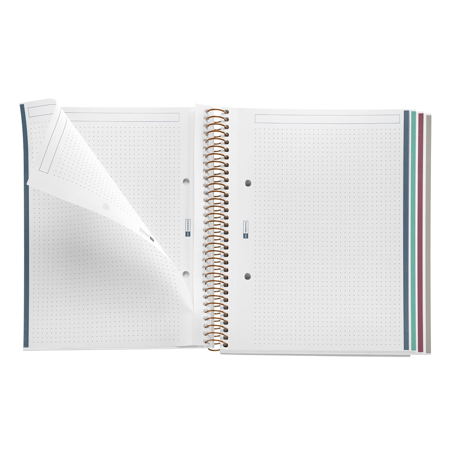 Miquelrius Pastel Petals 4-Subject Notebook 40 JB-44691_4