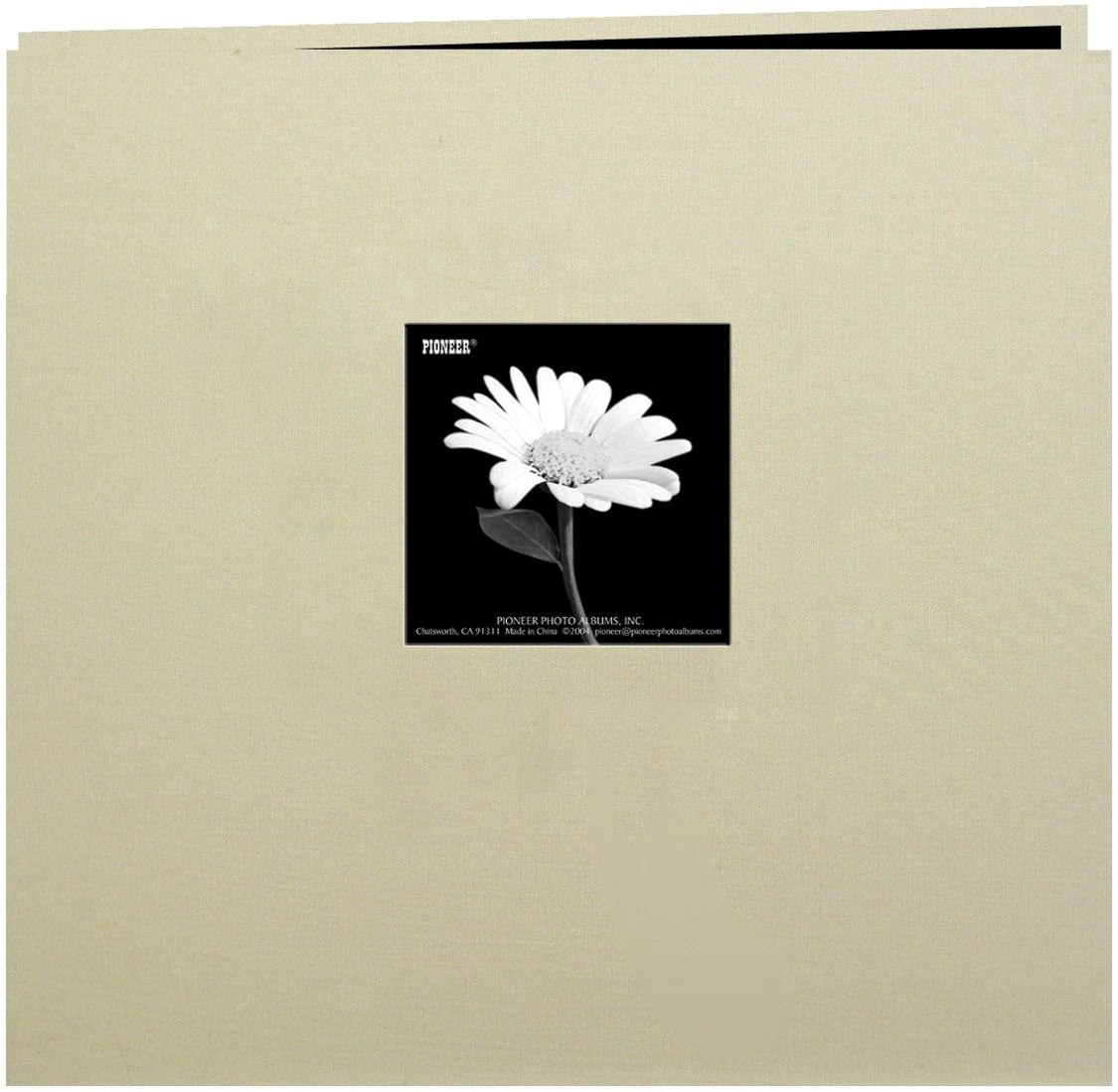 Slide image