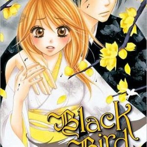 Black Bird V6 MB-13049_a3abb415-577d-4365-a829-c75b37a0de4e