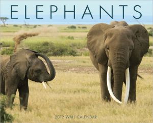 Calendar Elephants MB-13988_863d666c-75af-4cf7-9dff-7cc80df5685a