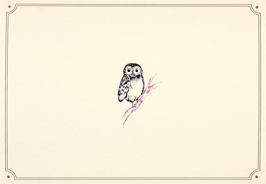Note Cards Owl MW-13205