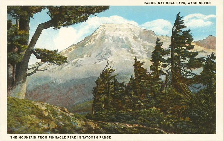 Mt Rainier Post Card MW-13419