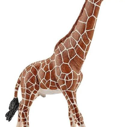 Schleich Giraffe Male MW-14963_0e36d3ee-24d4-4ab9-87fa-ec573dadb72a
