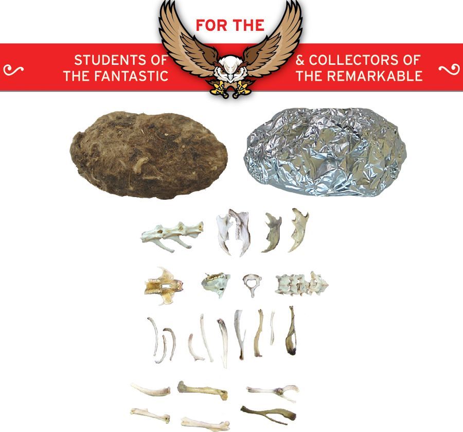 Owl Pellets Kit MW-16042